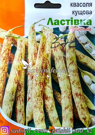 Семена пакетированные Яскрава. Фасоль "Ласточка", фото 2
