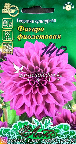Семена пакетированные Инвент+ Люкс. Георгина культурная "Фигаро фиолетовая", фото 2