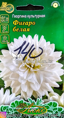 Семена пакетированные Инвент+ Люкс. Георгина культурная "Фигаро белая", фото 2