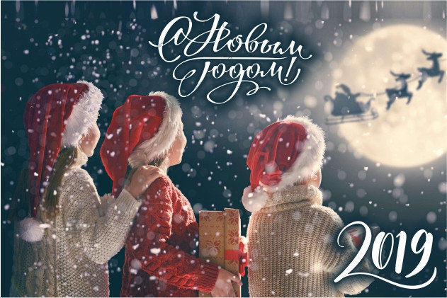 С Новым 2019 годом, друзья!