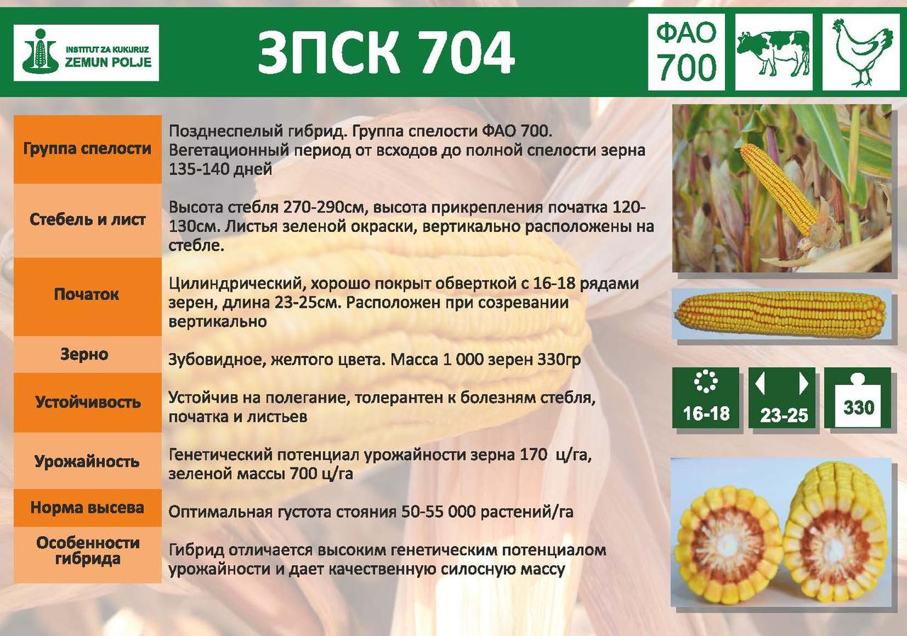 Купить Семена Кукурузы В Казахстане