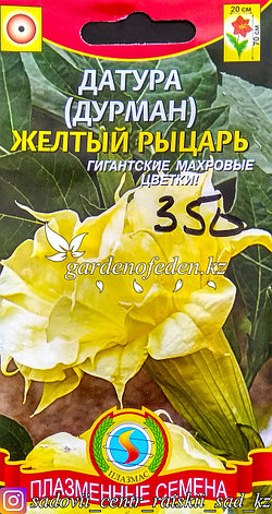 Семена пакетированные Плазменные семена. Датура (Дурман) "Желтый рыцарь", фото 2