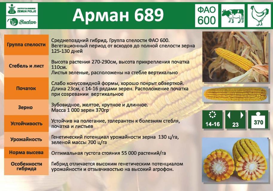 Әйелдер көз жасына анал