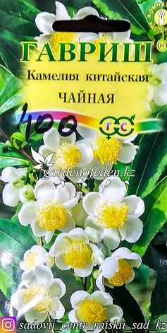 Семена пакетированные Гавриш. Камелия китайская "Чайная", фото 2