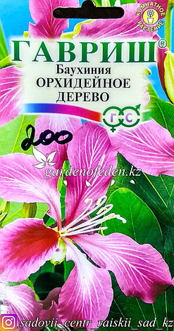 Семена пакетированные Гавриш. Баухиния "Орхидейное дерево", фото 2