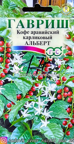 Семена пакетированные Гавриш. Кофе Аравийский карликовый "Альберт", фото 2