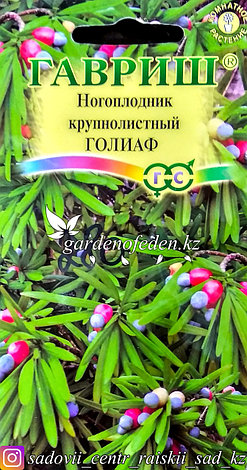 Семена пакетированные Гавриш. Ногоплодник крупнолистный "Голиаф", фото 2