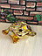 Шкатулка Трехлапая  жаба для привлечения богатства, фото 2