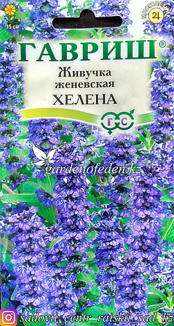 Семена пакетированные Гавриш. Живучка женевская "Хелена", фото 2