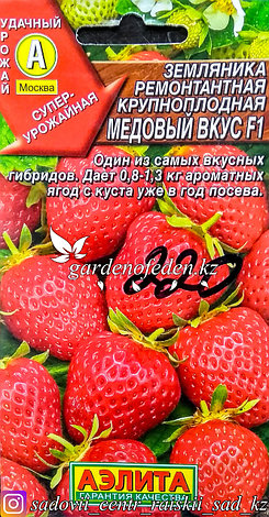 Семена пакетированные Аэлита. Земляника ремонтантная, крупноплодная "Медовый вкус F1", фото 2