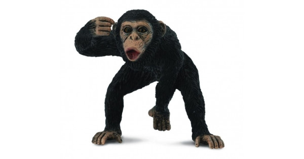 CollectA Фигурка Шимпанзе, самец, 6 см - фото 1 - id-p59134500