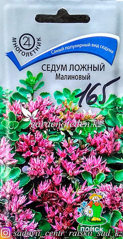 Семена пакетированные Аэлита. Шток-роза "Мулатка", фото 2