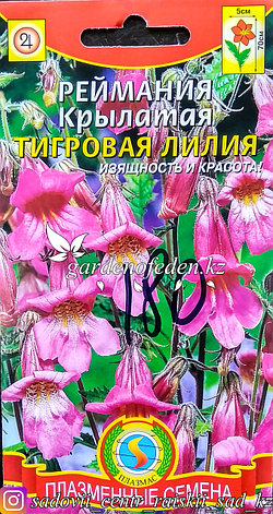 Семена пакетированные Плазменные семена. Реймания крылатая "Тигровая лилия", фото 2