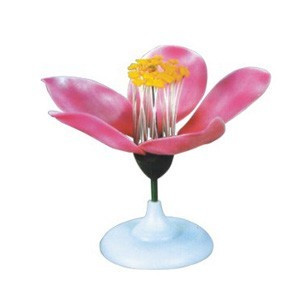 Модель "Цветок персика", фото 1