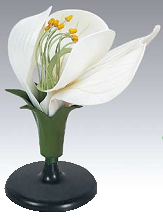 Модель "Цветок гороха" - фото 1 - id-p59194698