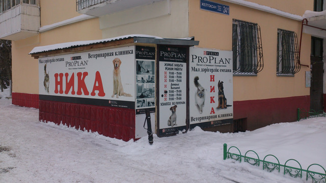 ветеринарные клиники в череповце зашекснинский район. аверс вет ветеринарная клиника барнаул. ночная ветеринарная клиника. ветклиника барнаул адреса. ветеренарнаяклиника в дзержинский.