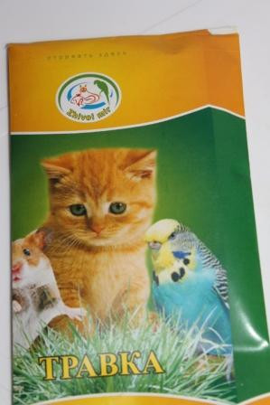 Травка для кошек - семена для проращивания - фото 2 - id-p4205372