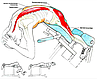 Гиперэкстензия складная для мышц cкамья для спины СВ-2626 до 110 кг., фото 7
