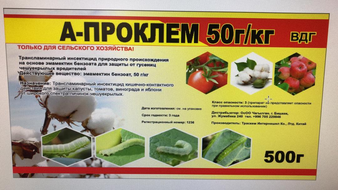 Проклэйм
