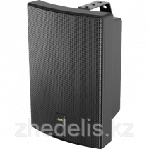 Сетевой корпусной громкоговоритель AXIS C1004-E( чёрный)