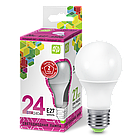 Лампа светодиодная  LED-A60-std 24Вт 230В  Е27 6500К 2160Лм ASD