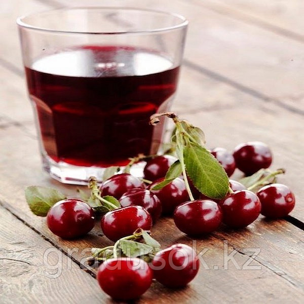 можно ли пить вишневый сок. морс эстетика. морсика морс вишня. можно ли пить вишневый сок. можно ли пить вишневый сок.