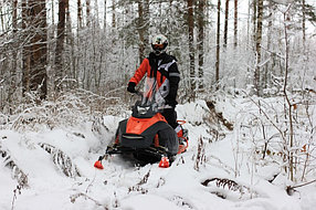 Снегоход Irbis Tungus 500L, фото 2