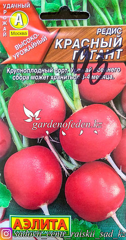 Семена пакетированные Аэлита. Редис "Красный гигант", фото 2