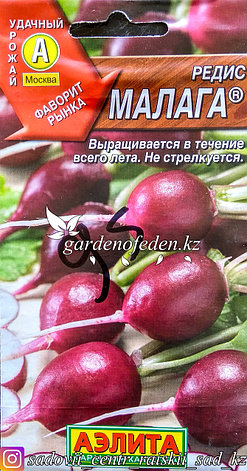 Семена пакетированные Аэлита. Редис "Малага", фото 2