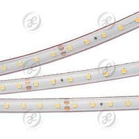 Лента RTW 2-5000PS-50m 24V White6000 (2835, 80 LED/m, LUX)