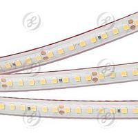 Лента RTW 2-5000PS 24V White6000 2x (2835, 160 LED/m, LUX)