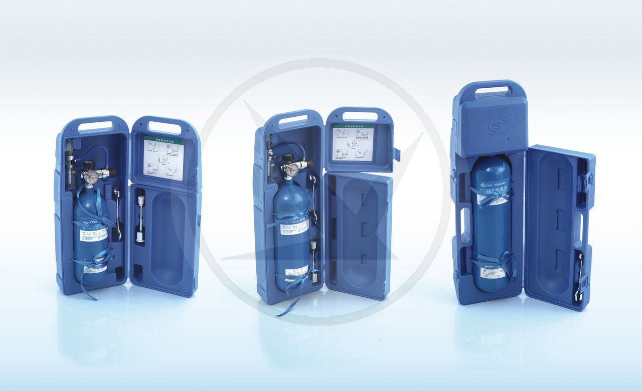 Кислородный ингалятор 2L Рестор (кислородный баллон 2 л) - фото 1 - id-p12024