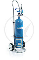 Кислородный ингалятор Рестор 8L (кислородный баллон 8 л)