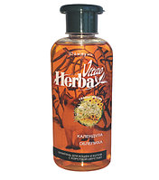 «Herba Vitae» шампунь для котов и кошек с короткой шерстью с экстрактами облепихи и календулы.