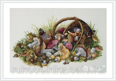 Набор для вышивания крестом "Mushrooms"