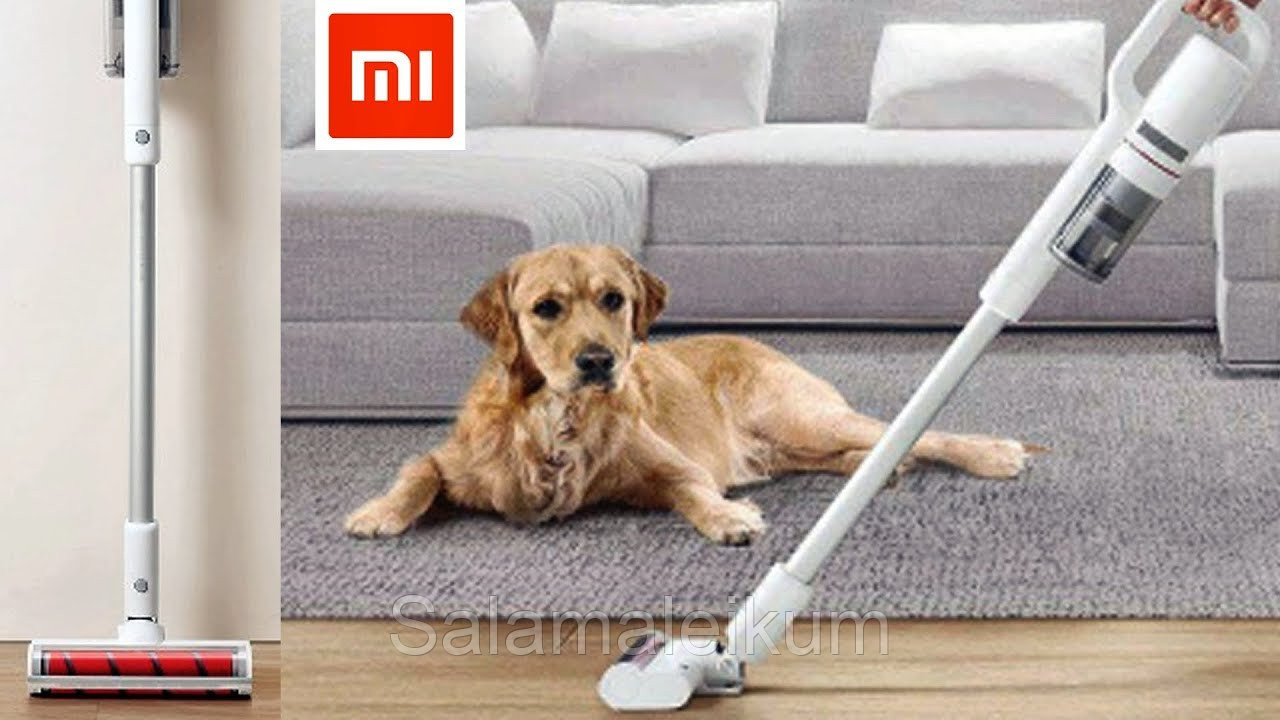 Вертикальный пылесос Xiaomi Roidmi F8