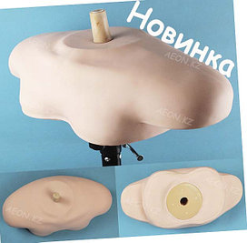 Аксессуары для парикмахеров и манекен-головы