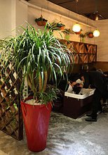 Озеленение в сфере бизнеса