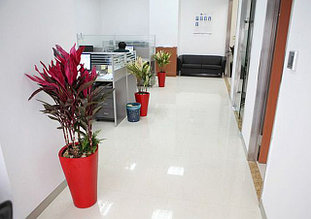 Озеленение в сфере бизнеса