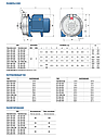 Центробежный насос Pedrollo CPm132-ST4, фото 5