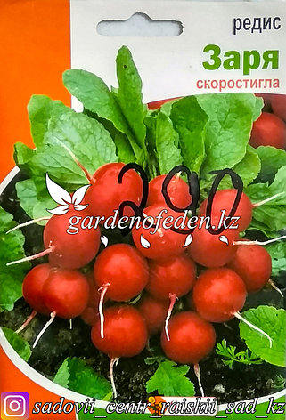 Семена пакетированные Яскрава. Редис "Заря", фото 2