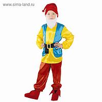 Детский карнавальный костюм "Гномик", р-р 64, рост 122-128 см