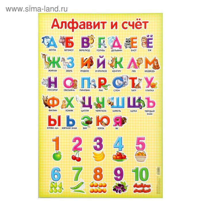Обучающий плакат "Алфавит и счёт", А2
