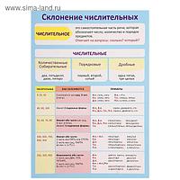 Обучающий плакат А4 "Склонение числительных"