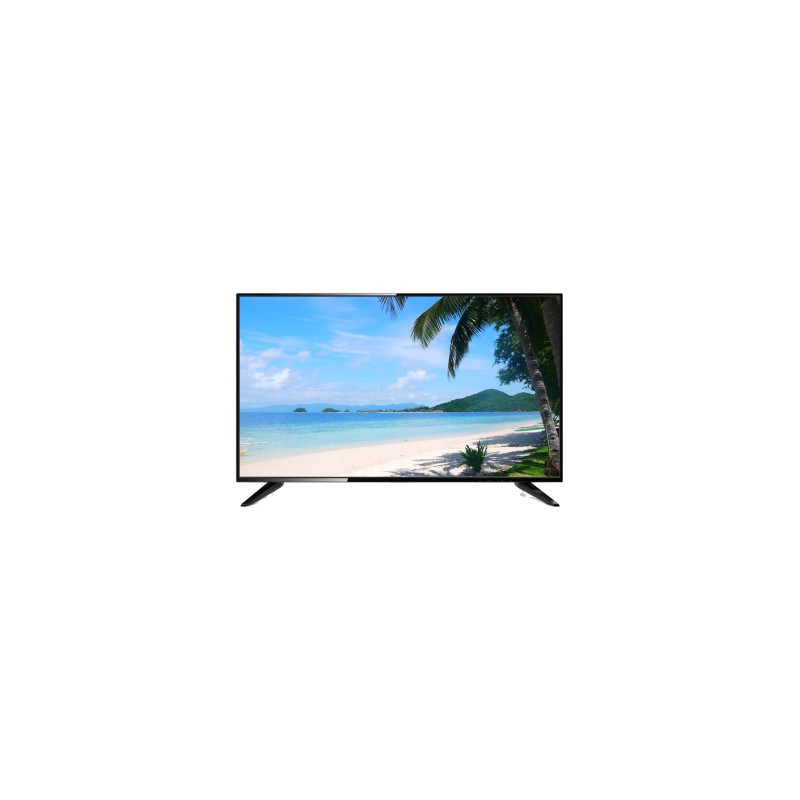 Монитор LED 43" DHL43-F600