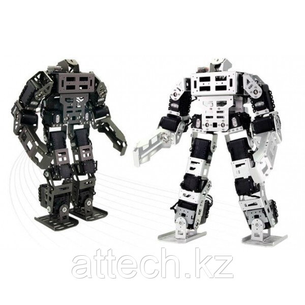 Человекоподобный робот Robotis Bioloid - GP