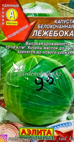 Семена пакетированные Аэлита. Капуста белокочанная "Лежебока", фото 2