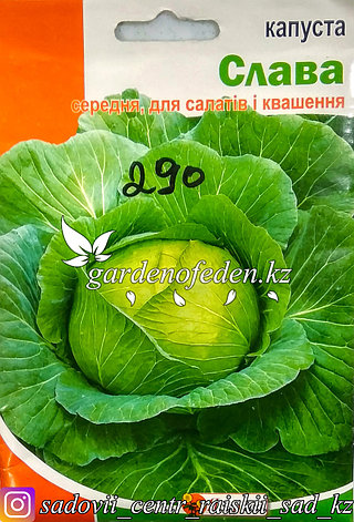 Семена пакетированные Яскрава. Капуста белокочанная "Слава", фото 2