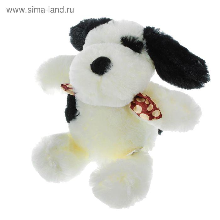 Мягкая игрушка "Пёсик с шарфиком", чёрные ушки