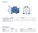 Центробежный насос из нержавеющей стали Pedrollo AL-RED 135m, фото 4